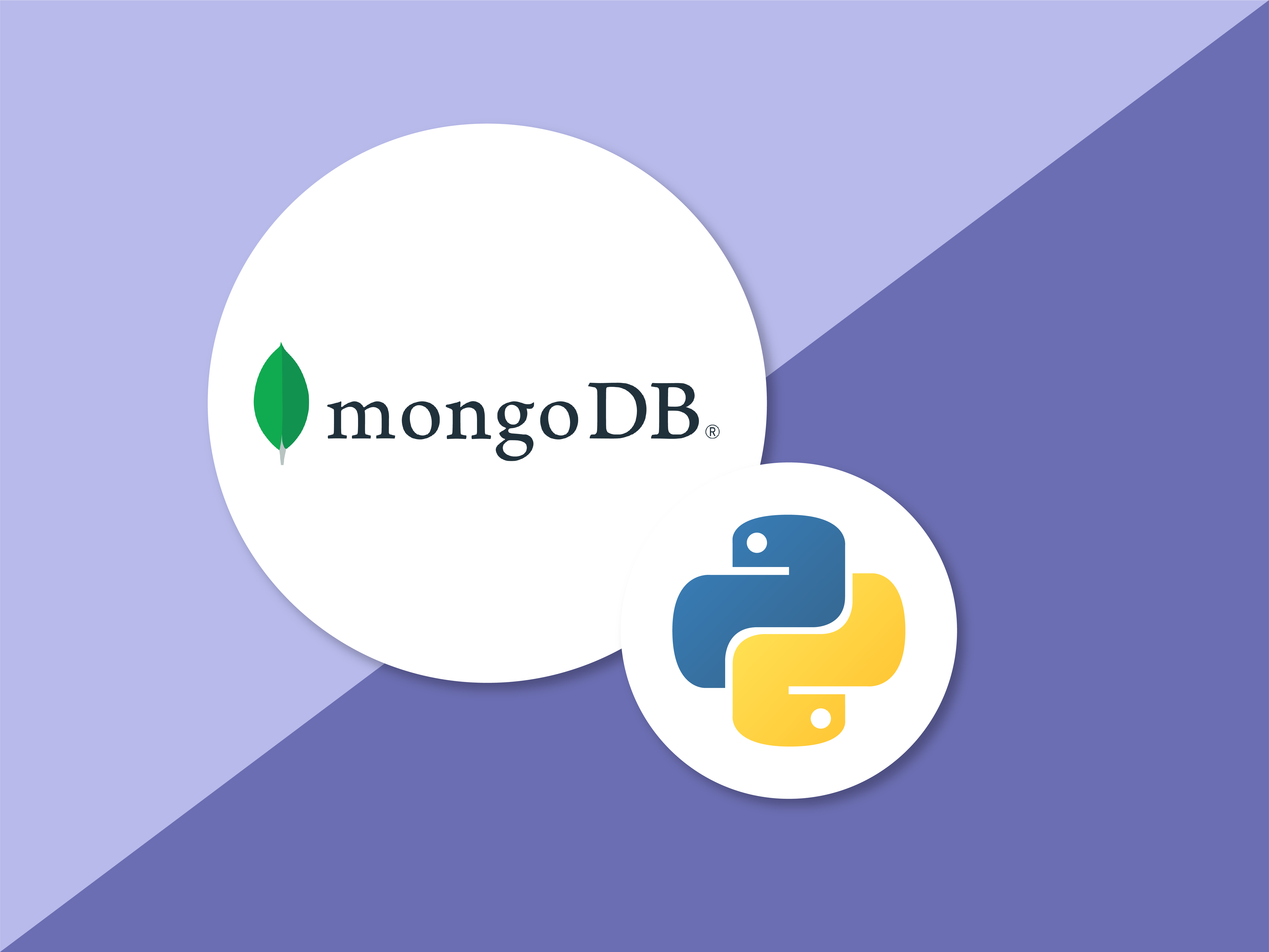 Accessing MongoDB Using Python Image