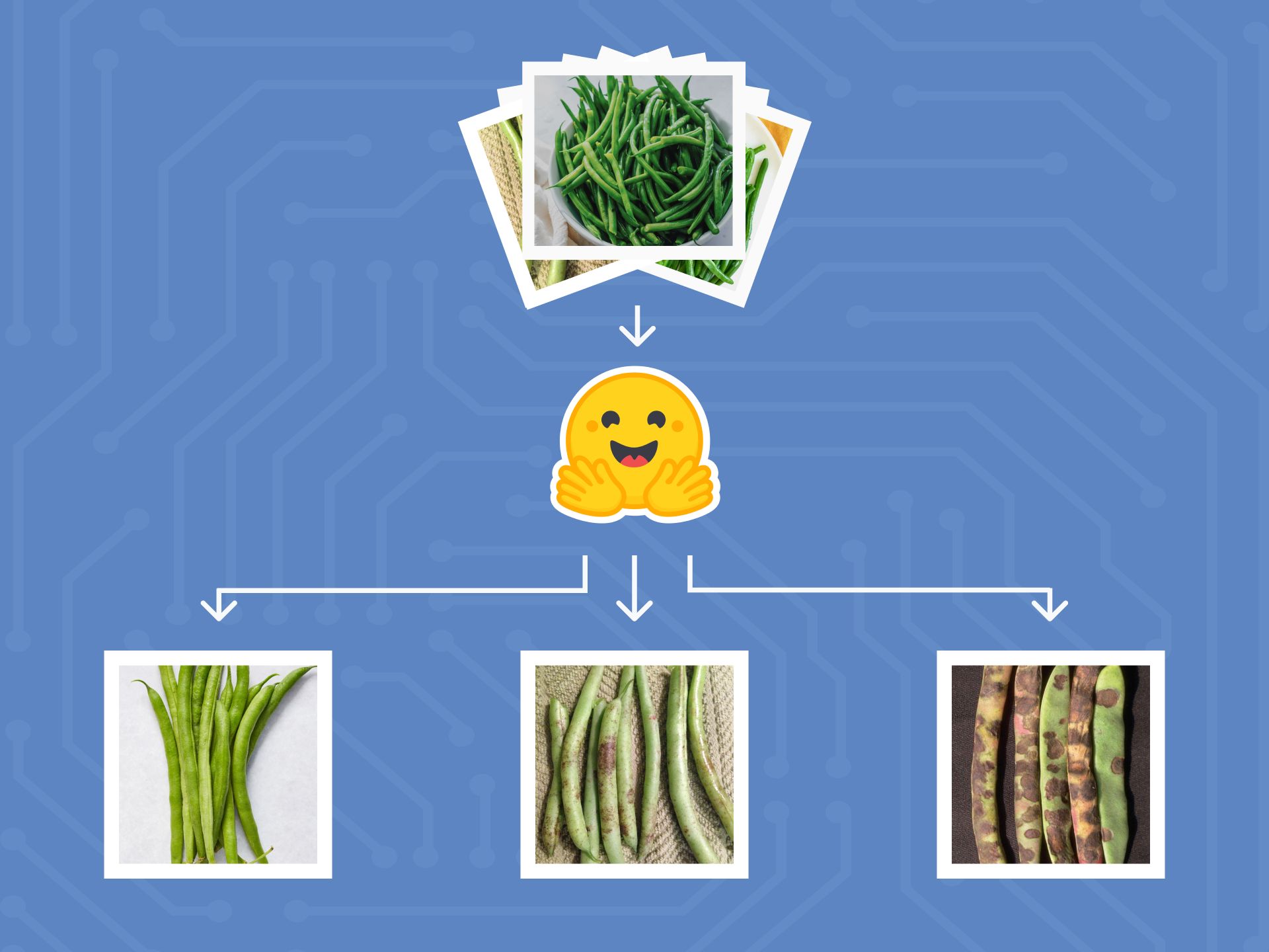 Image classification Using hugging face for Crypto Beans thumbnail